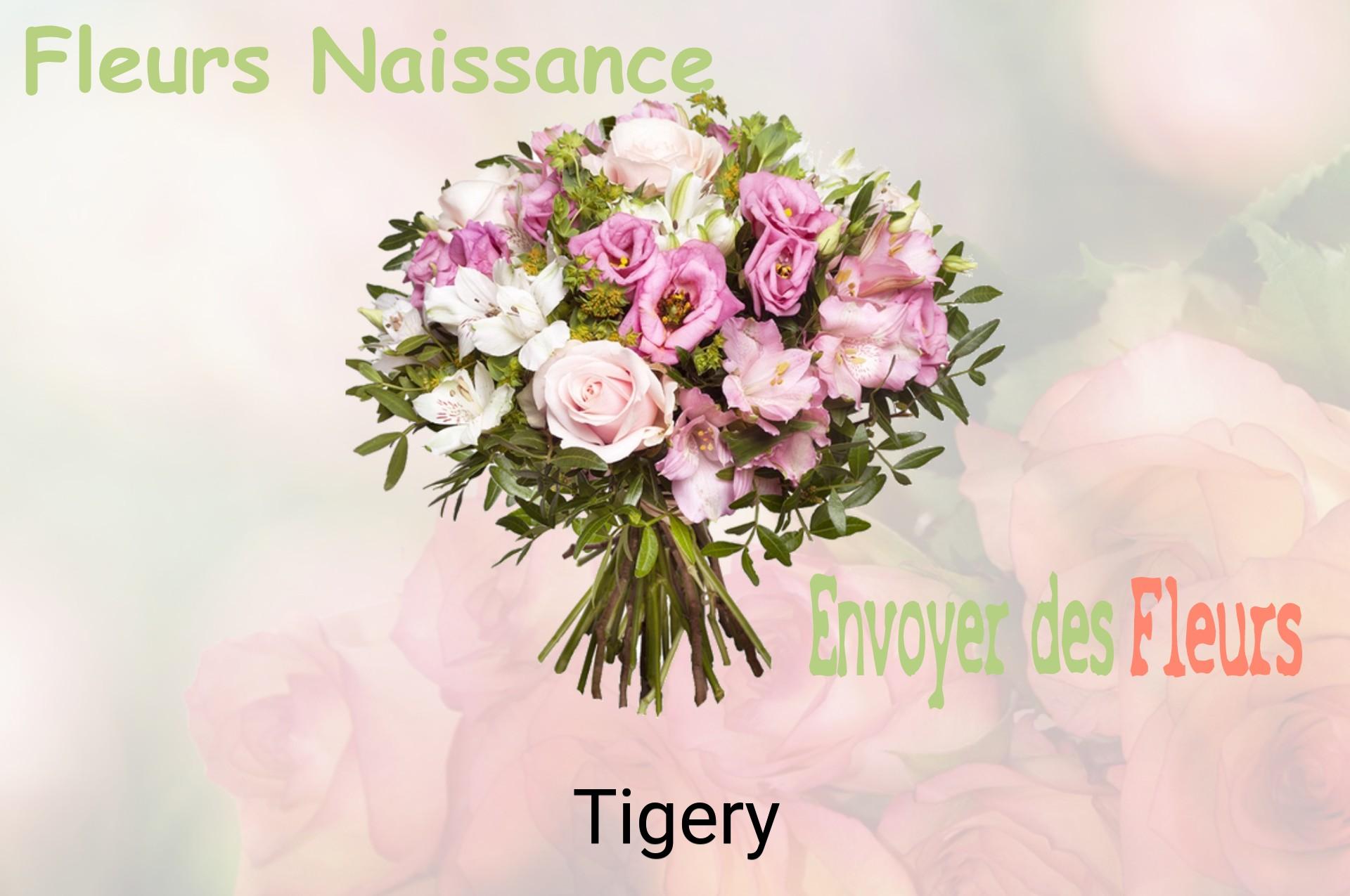 Bouquet de fleurs de naissance livré à Tigery